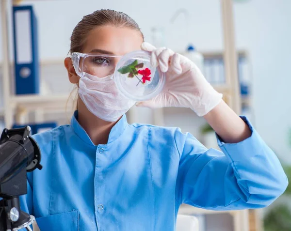 Investigadora científica que realiza un experimento en un labora —  Fotos de Stock