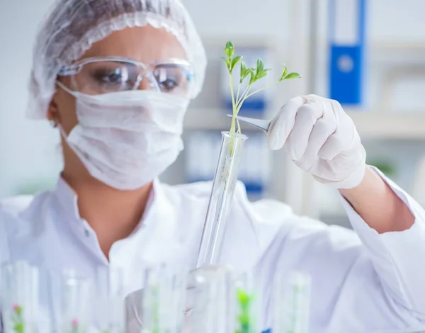 Investigadora científica que realiza un experimento en un labora —  Fotos de Stock