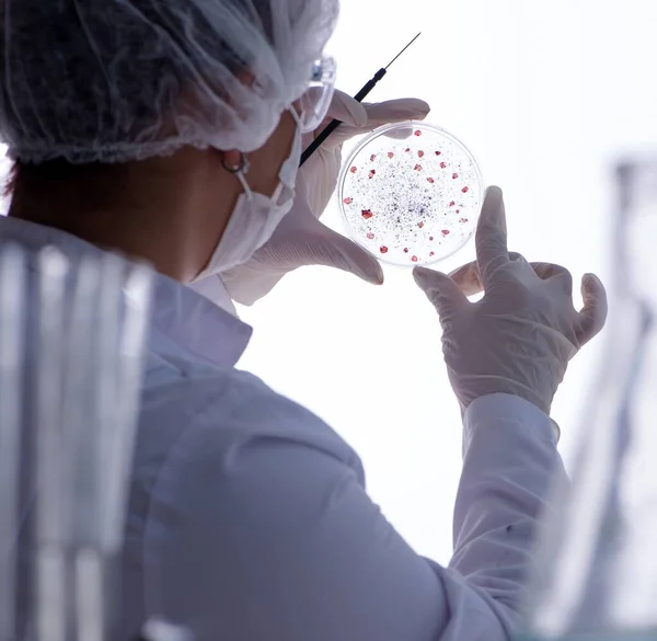 Vrouwelijke wetenschapper onderzoeker voert een experiment uit in een laboratorium — Stockfoto