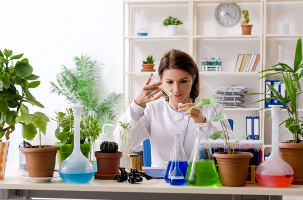 Vecchia chimica biotecnologica femminile che lavora in laboratorio — Foto Stock