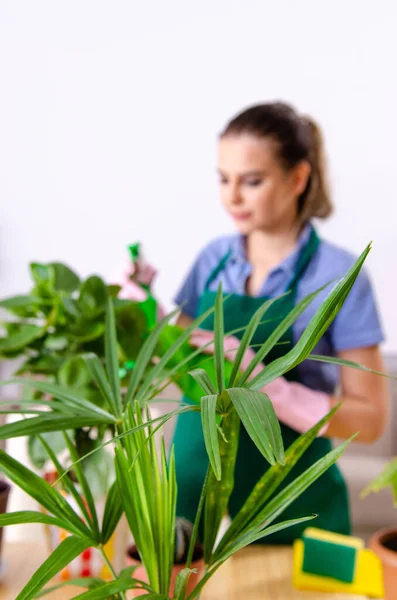 Ung kvinnlig trädgårdsmästare med växter inomhus — Stockfoto
