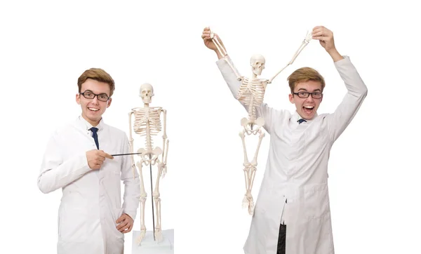 Doctor divertido con esqueleto aislado en blanco —  Fotos de Stock