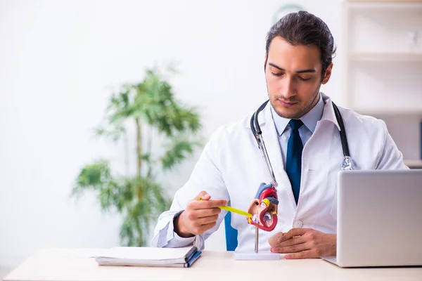 Jung männlich handsome doktor working im die klinik — Stockfoto