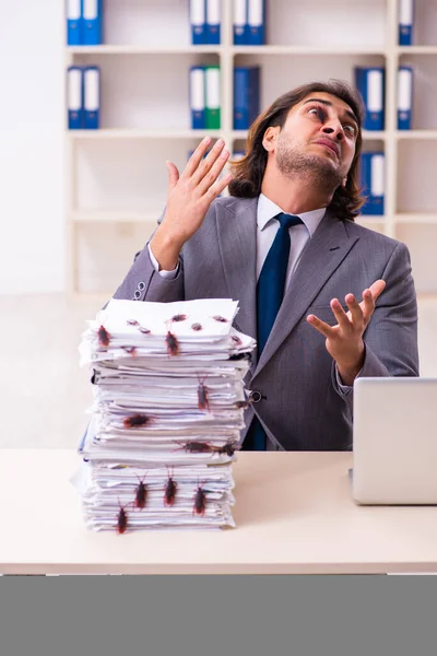 Jonge mannelijke werknemer en te veel kakkerlakken op kantoor — Stockfoto