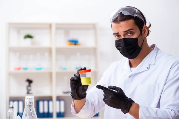 Junger Chemiker arbeitet im Labor — Stockfoto