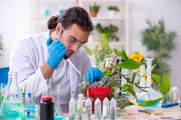 Jonge mannelijke chemicus werkzaam in het lab — Stockfoto