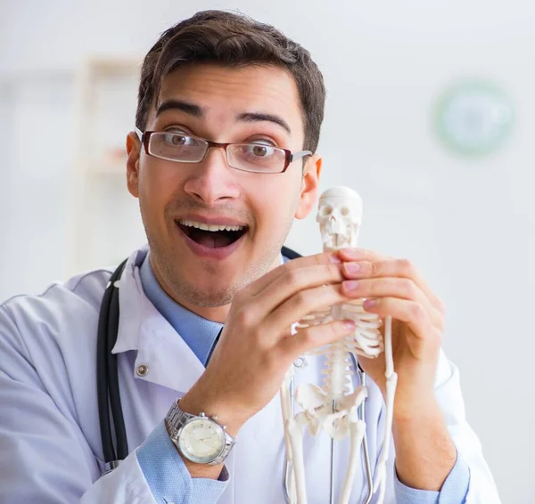 Studente medico che studia le ossa dello scheletro — Foto Stock