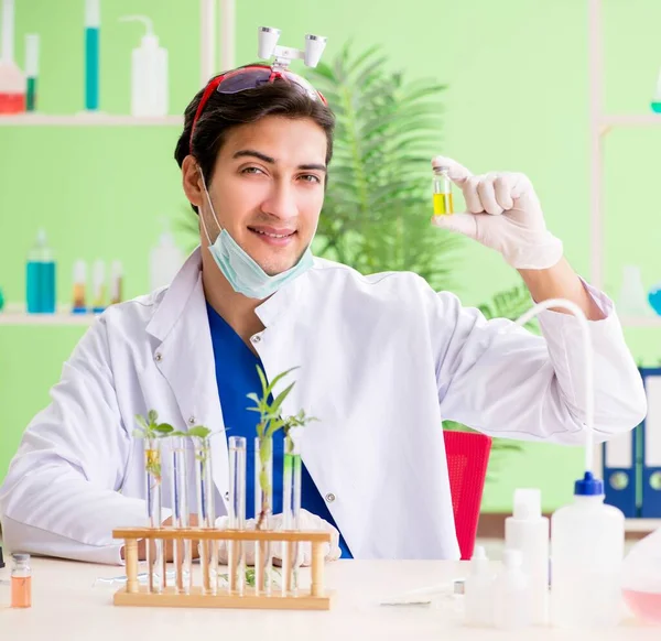 Young biotechnology scientist chemist working in lab — Stock Photo, Image