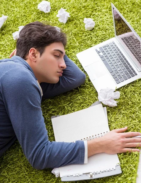 stock image Handsome student working at startup project at home