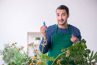 Evin içinde bitkileri olan genç bir erkek bahçıvan.