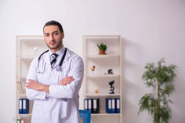 Jovem médico do sexo masculino trabalhando na clínica — Fotografia de Stock