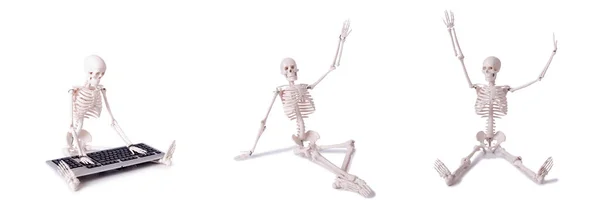 Funny Skeleton working on computer — Stock Photo, Image