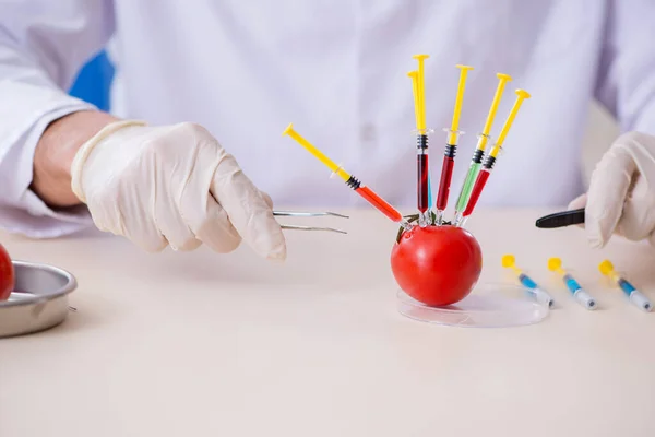 Erkek beslenme uzmanı gıda ürünlerini laboratuarda test ediyor. — Stok fotoğraf