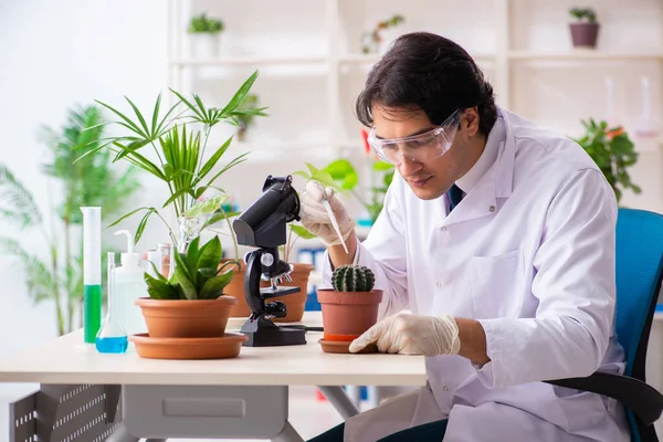 Bioteknik kemist arbetar i lab — Stockfoto
