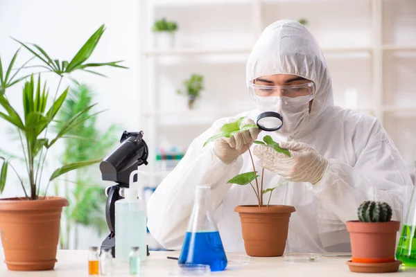 Químico biotecnológico trabajando en laboratorio —  Fotos de Stock