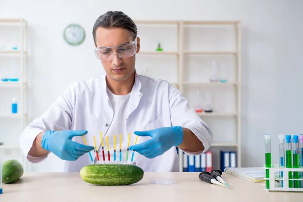 Mannelijke voeding expert testen van groenten in het lab — Stockfoto