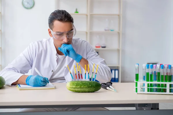 Mannelijke voeding expert testen van groenten in het lab — Stockfoto