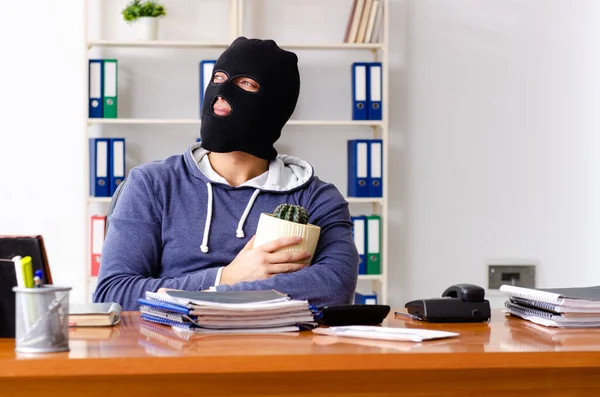 Männlicher Dieb mit Sturmhaube im Büro — Stockfoto