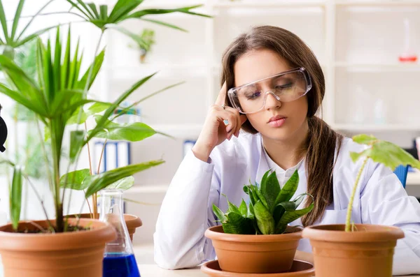 Young beautiful biotechnology chemist working in the lab — Stock Photo, Image