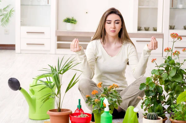 Joven jardinero femenino con plantas en el interior —  Fotos de Stock