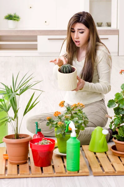 Giovane giardiniere femminile con piante al chiuso — Foto Stock
