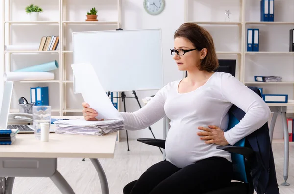 Impiegata donna esperta che lavora in ufficio — Foto Stock