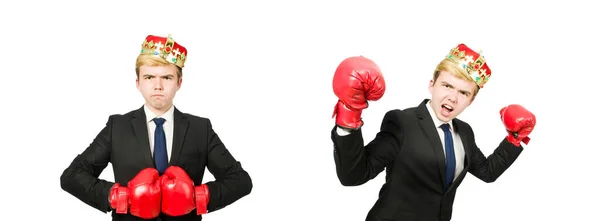 Αστείος επιχειρηματίας με στέμμα και γάντια πυγμαχίας — Φωτογραφία Αρχείου