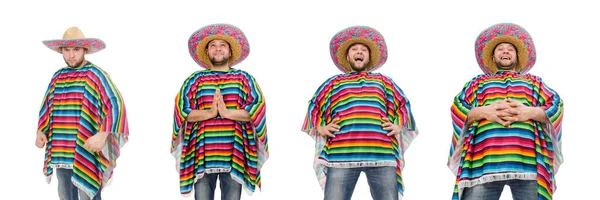 Mexicano engraçado isolado em branco — Fotografia de Stock