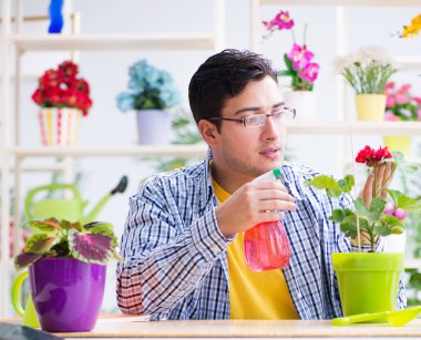 Bahçıvan çiçekçide çalışıyor. Çiçekçide çalışıyor.