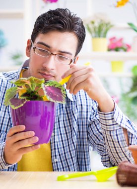 Bahçıvan çiçekçide çalışıyor. Çiçekçide çalışıyor.