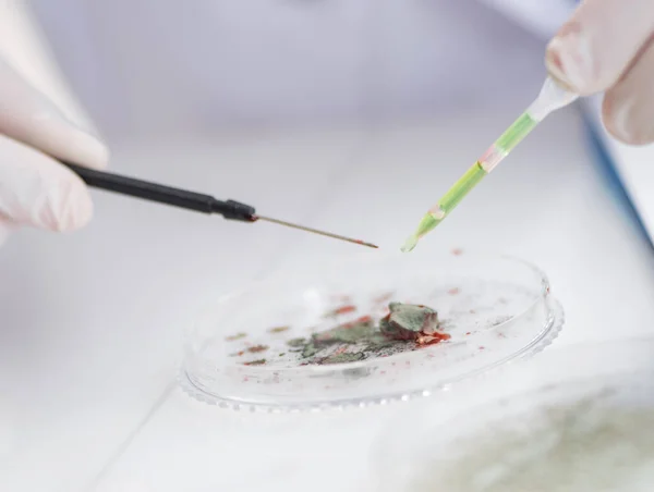 Médico varón que trabaja en el laboratorio con la vacuna contra el virus — Foto de Stock