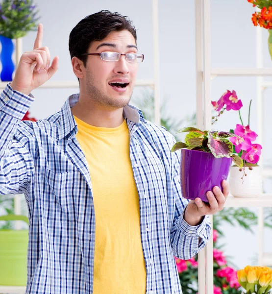Jardinier fleuriste travaillant dans un magasin de fleurs avec des plantes maison — Photo