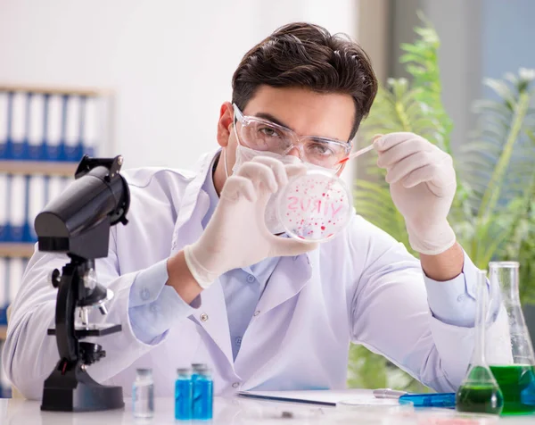 Mannelijke arts die in het lab werkt aan virusvaccin — Stockfoto