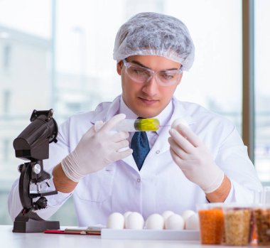 Besin uzmanı gıda ürünlerini laboratuarda test ediyor.