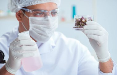 Laboratuvarda parfüm karıştıran bir kimyager.