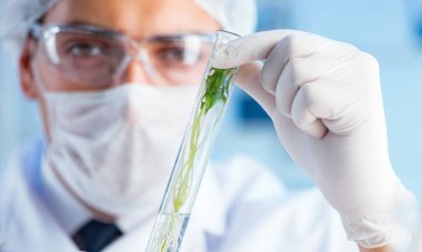 Laboratuvarda bilim adamıyla biyoteknoloji kavramı