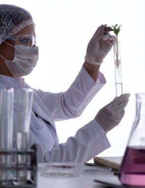 Bir laboratuarda deney yapan kadın bir bilim adamı.