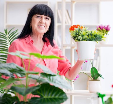 Çiçekçide çalışan kadın çiçekçi