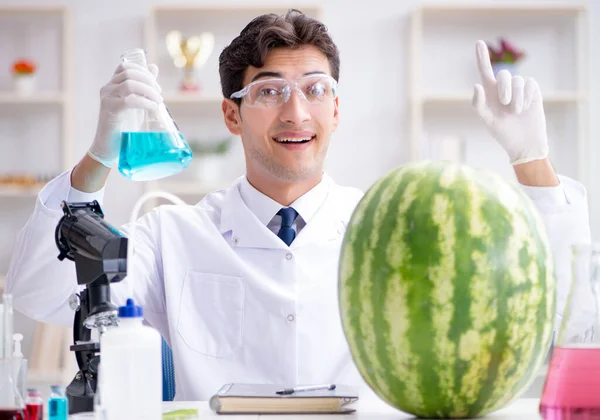 Científico probando sandía en laboratorio — Foto de Stock