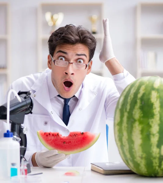 Scientist testing watermelon in lab — Stock Photo, Image