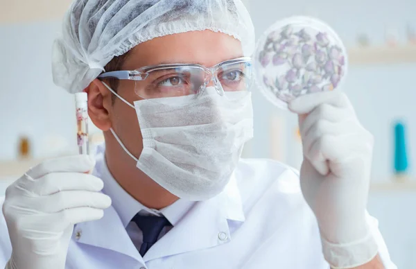Kemiker blande parfume i laboratoriet - Stock-foto
