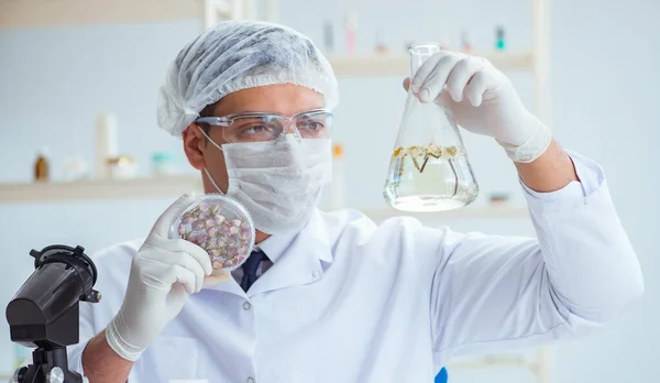 Chemist mixing perfumes in the lab