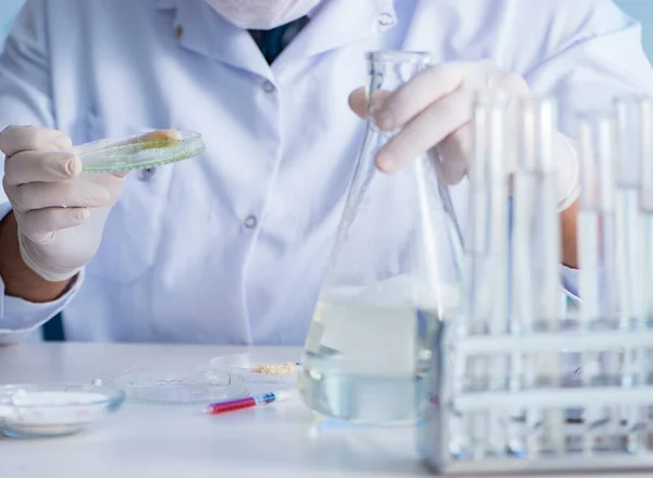 Pesquisadora cientista conduzindo uma experiência em um labora — Fotografia de Stock