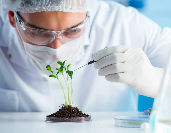 Concepto de biotecnología con científico en laboratorio —  Fotos de Stock