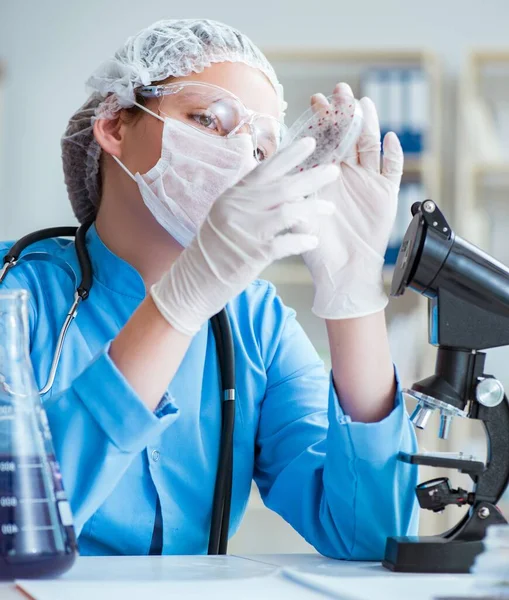 Investigadora cientista a fazer experiências em laboratório — Fotografia de Stock