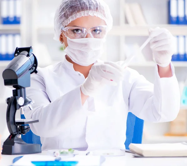 Pesquisadora cientista conduzindo uma experiência em um labora — Fotografia de Stock