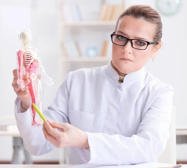 Docente medico che spiega varie parti del cuore — Foto Stock