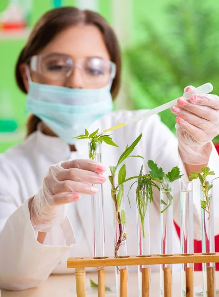 Bella scienziata biotecnologica donna chimico che lavora in laboratorio — Foto Stock