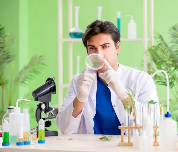 Jeune chimiste biotechnicien travaillant en laboratoire — Photo