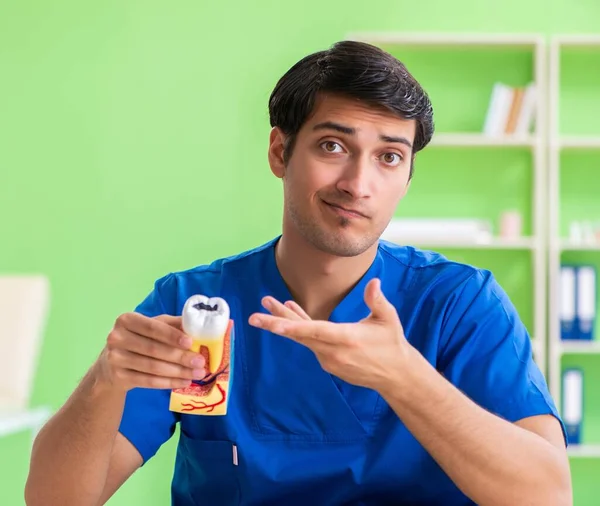 Junge Zahnärztin praktiziert Arbeit am Zahnmodell — Stockfoto